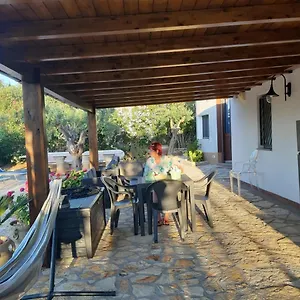 Tina Castellammare del Golfo